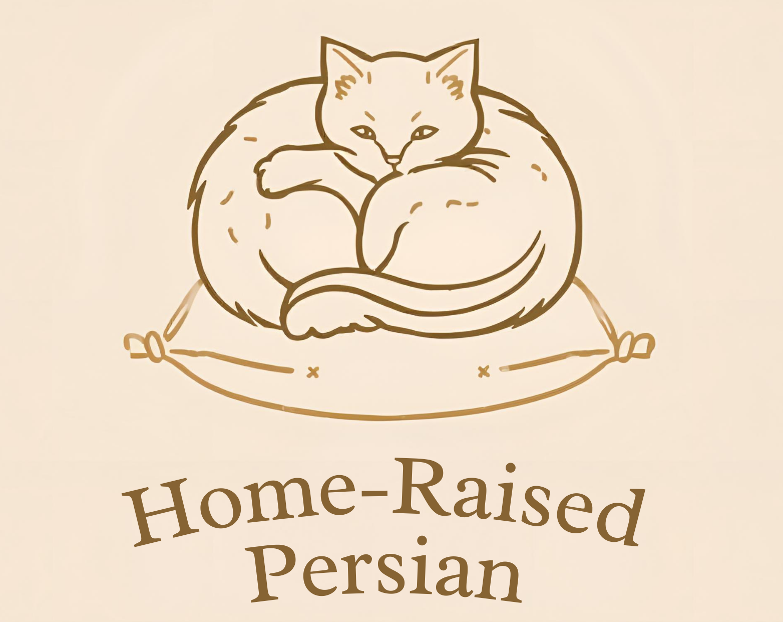 Home Raised Persian